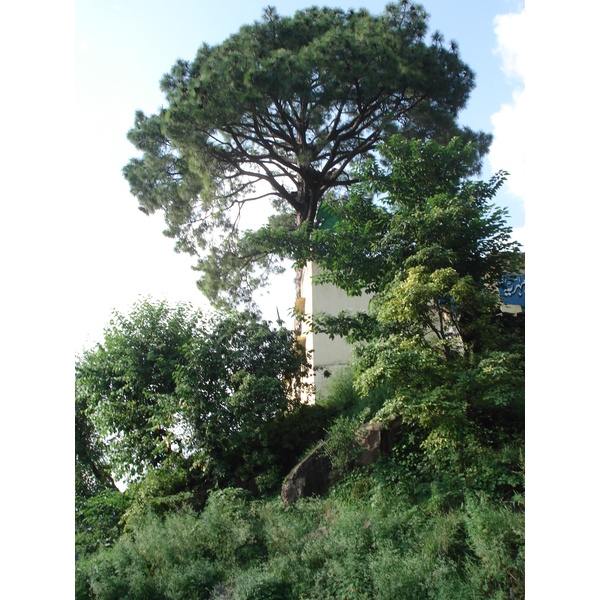 รูปถ่าย ปากีสถาน(Pakistan) ถนนจากอิสลามาบัดไปมัรรี(Islamabad to Murree road) 2006-08 22