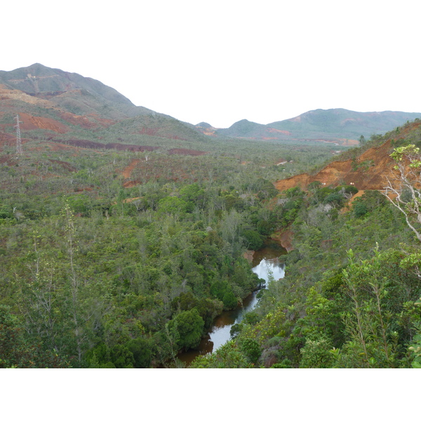 รูปถ่าย นิวแคลิโดเนีย(New Caledonia) อุทยานริเวียร์เบลอ(Parc de la Riviere Bleue) 2010-05 89