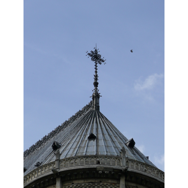 รูปถ่าย ฝรั่งเศส(France) ปารีส(Paris) มหาวิหารน็อทร์-ดาม(Notre Dame) 2007-05 97