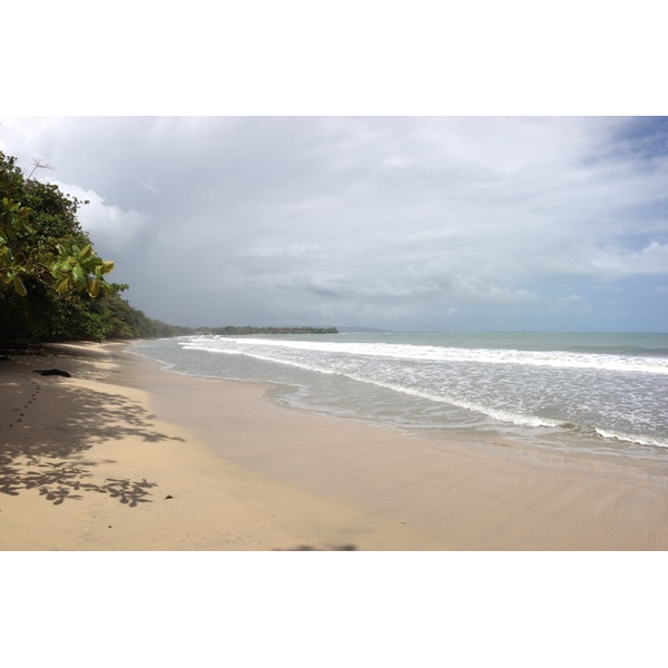 รูปถ่าย คอสตาริกา(Costa Rica) กาอุยตา(Cahuita) 2015-03 167
