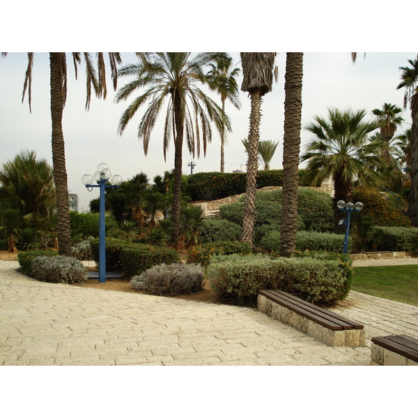รูปถ่าย อิสราเอล(Israel) จาฟา(Jaffa) 2006-12 156