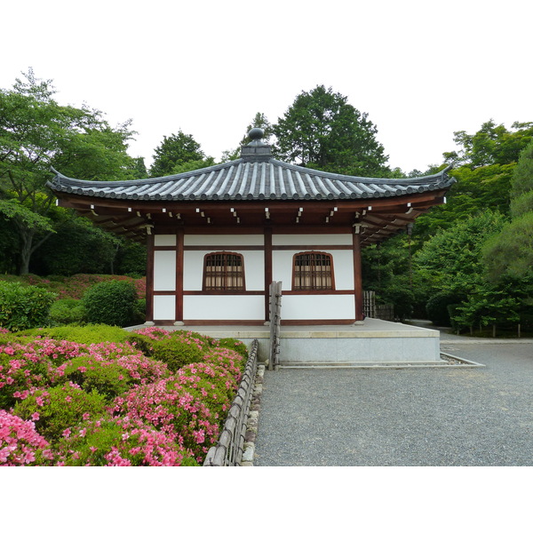 รูปถ่าย ญี่ปุ่น(Japan) เกียวโต(Kyoto) วัดเรียวอันจิ(Ryoanji Temple) 2010-06 21