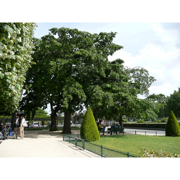 รูปถ่าย ฝรั่งเศส(France) ปารีส(Paris) มหาวิหารน็อทร์-ดาม(Notre Dame) 2007-05 112