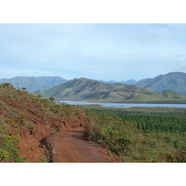 รูปถ่าย นิวแคลิโดเนีย(New Caledonia) อุทยานริเวียร์เบลอ(Parc de la Riviere Bleue) 2010-05 135