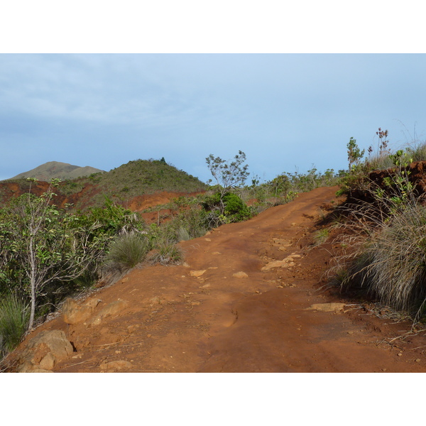 รูปถ่าย นิวแคลิโดเนีย(New Caledonia) อุทยานริเวียร์เบลอ(Parc de la Riviere Bleue) 2010-05 117