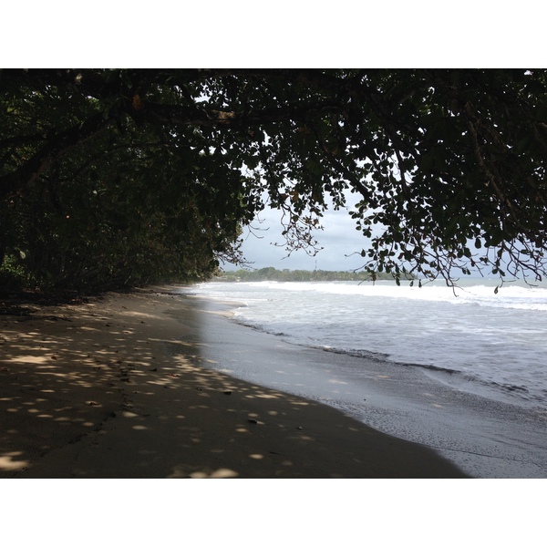 รูปถ่าย คอสตาริกา(Costa Rica) กาอุยตา(Cahuita) 2015-03 75