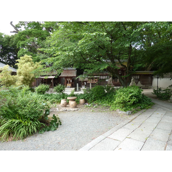 รูปถ่าย ญี่ปุ่น(Japan) เกียวโต(Kyoto) สวนเกียวโตเกียวเอ็ง(Kyoto Gyoen Garden) 2010-06 14
