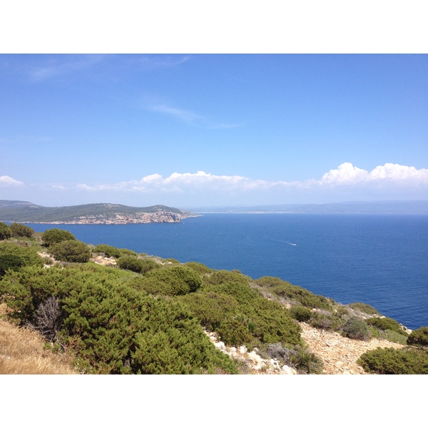 รูปถ่าย อิตาลี(Italy) ซาร์ดิเนีย(Sardinia) อุทยานธรรมชาติปอร์โตกอนเต(Porto Conte Regional Natural Park) 2015-06 15