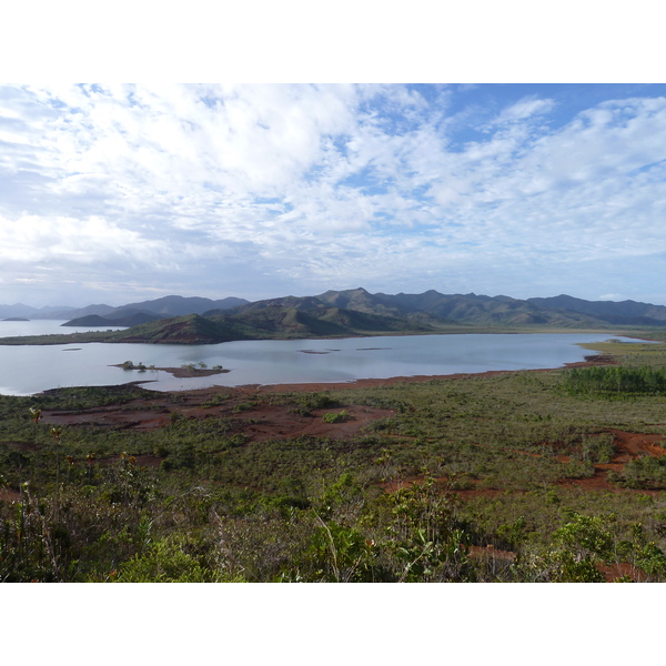 รูปถ่าย นิวแคลิโดเนีย(New Caledonia) อุทยานริเวียร์เบลอ(Parc de la Riviere Bleue) 2010-05 137