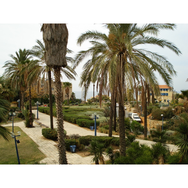 รูปถ่าย อิสราเอล(Israel) จาฟา(Jaffa) 2006-12 119