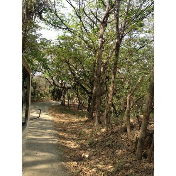 รูปถ่าย คอสตาริกา(Costa Rica) มอนเตซูมา(Montezuma) 2015-03 513