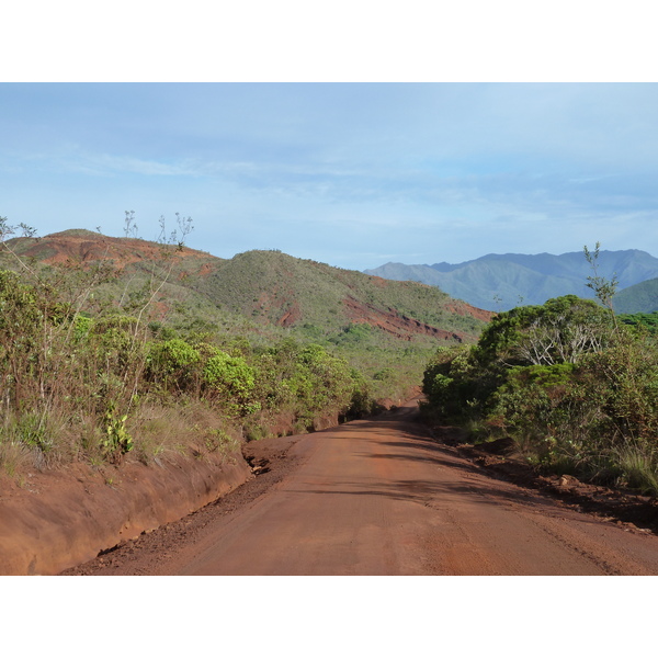 รูปถ่าย นิวแคลิโดเนีย(New Caledonia) อุทยานริเวียร์เบลอ(Parc de la Riviere Bleue) 2010-05 119