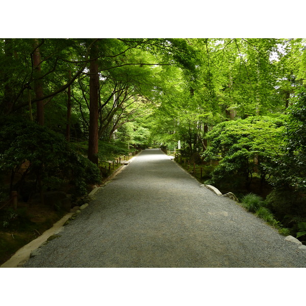 รูปถ่าย ญี่ปุ่น(Japan) เกียวโต(Kyoto) วัดเรียวอันจิ(Ryoanji Temple) 2010-06 79