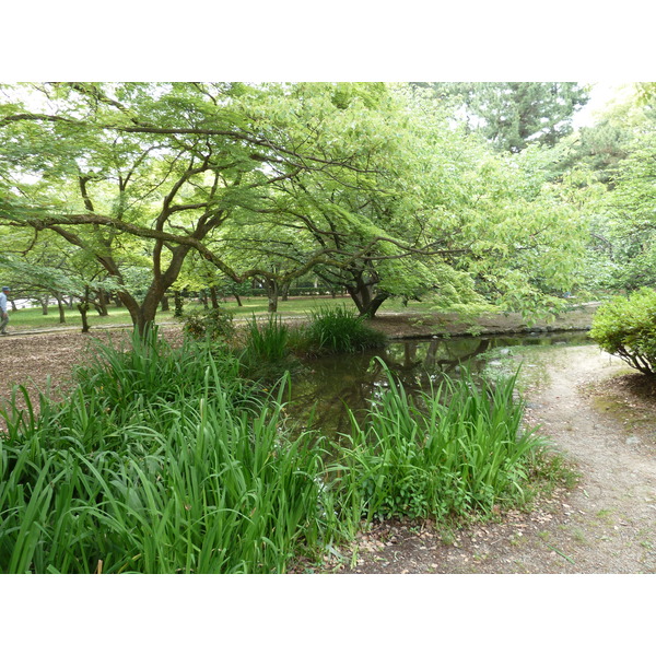 รูปถ่าย ญี่ปุ่น(Japan) เกียวโต(Kyoto) สวนเกียวโตเกียวเอ็ง(Kyoto Gyoen Garden) 2010-06 53