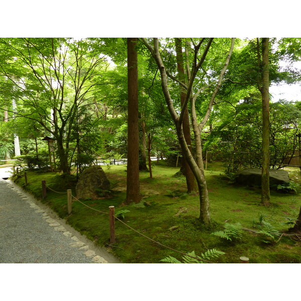 รูปถ่าย ญี่ปุ่น(Japan) เกียวโต(Kyoto) วัดเรียวอันจิ(Ryoanji Temple) 2010-06 69