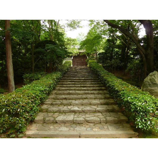 รูปถ่าย ญี่ปุ่น(Japan) เกียวโต(Kyoto) วัดเรียวอันจิ(Ryoanji Temple) 2010-06 55