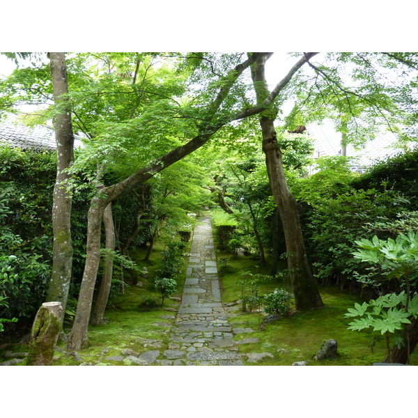 รูปถ่าย ญี่ปุ่น(Japan) เกียวโต(Kyoto) วัดเรียวอันจิ(Ryoanji Temple) 2010-06 63