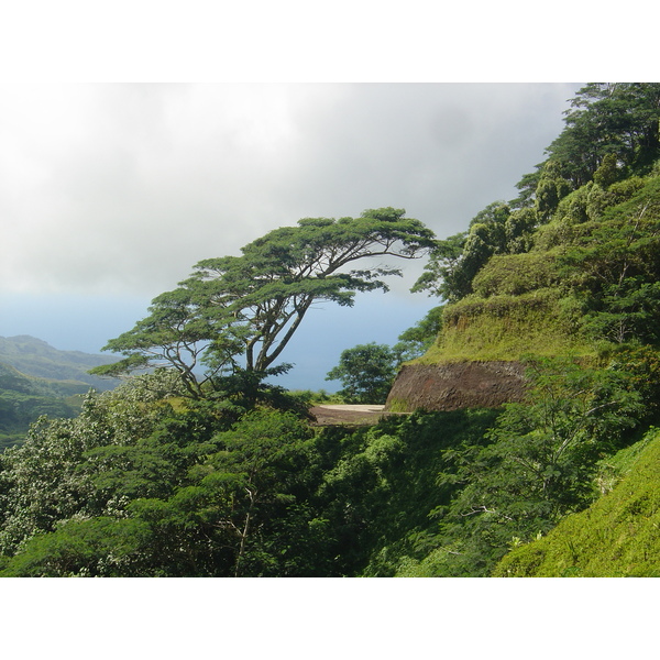รูปถ่าย เฟรนช์โพลี่นีเซีย(Polynesia) หมู่เกาะมาร์เคซัส(Marquises) 2006-04 170