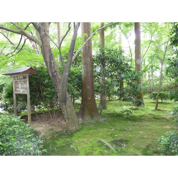 รูปถ่าย ญี่ปุ่น(Japan) เกียวโต(Kyoto) วัดเรียวอันจิ(Ryoanji Temple) 2010-06 41