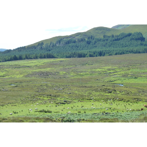 รูปถ่าย อังกฤษ(United Kingdom) เกาะสกาย(Skye) เทือกเขาคูลิน(The Cuillin) 2011-07 34