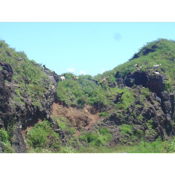 รูปถ่าย เฟรนช์โพลี่นีเซีย(Polynesia) หมู่เกาะมาร์เคซัส(Marquises) 2006-04 129