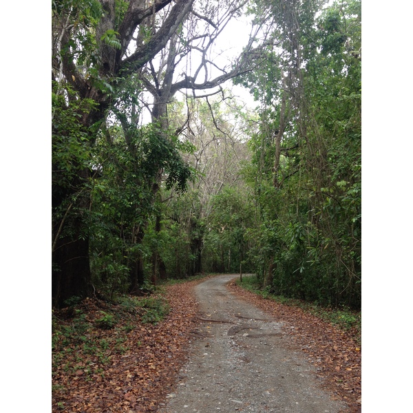 รูปถ่าย คอสตาริกา(Costa Rica) มอนเตซูมา(Montezuma) 2015-03 341