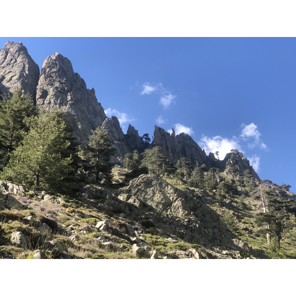 รูปถ่าย ฝรั่งเศส(France) คอร์สิคา(Corsica) หุบเขาลาเรสโตนีกา(La Restonica) 2020-07 40