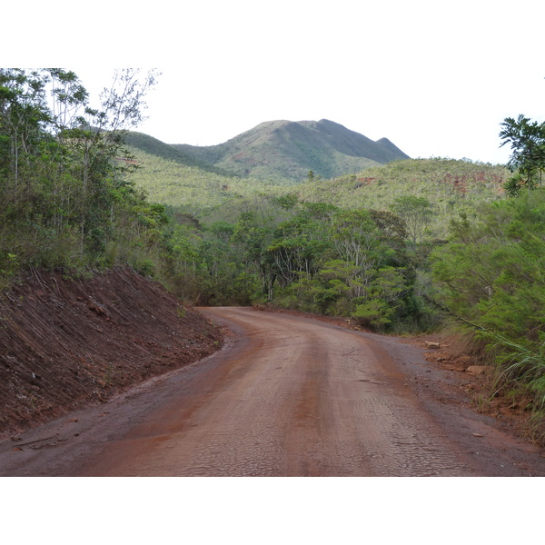 รูปถ่าย นิวแคลิโดเนีย(New Caledonia) อุทยานริเวียร์เบลอ(Parc de la Riviere Bleue) 2010-05 27