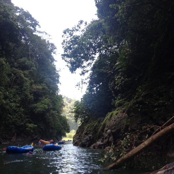 รูปถ่าย คอสตาริกา(Costa Rica) แม่น้ำปากัวเร(Pacuare River) 2015-03 205