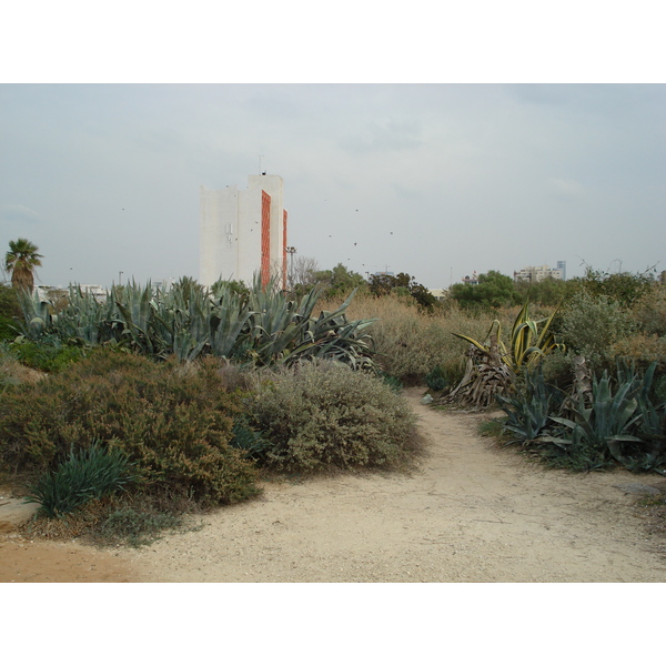 รูปถ่าย อิสราเอล(Israel) เทลอาวีฟ(Tel Aviv) ชายหาดเทลอาวีฟ(Tel Aviv Sea Shore) 2006-12 286