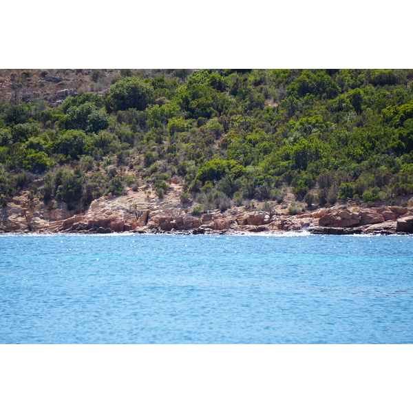รูปถ่าย ฝรั่งเศส(France) คอร์สิคา(Corsica) หาดรอนดีนารา(Rondinara Beach) 2017-07 1