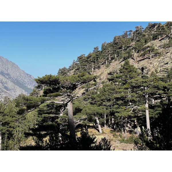 รูปถ่าย ฝรั่งเศส(France) คอร์สิคา(Corsica) ภูเขามอนเตชินโต(Monte Cinto) 2023-10 69