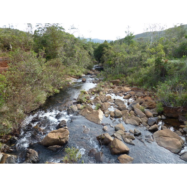 รูปถ่าย นิวแคลิโดเนีย(New Caledonia) อุทยานริเวียร์เบลอ(Parc de la Riviere Bleue) 2010-05 108