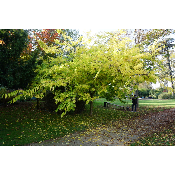 รูปถ่าย ฝรั่งเศส(France) ปารีส(Paris) บากาแตล(Bagatelles) 2016-10 39