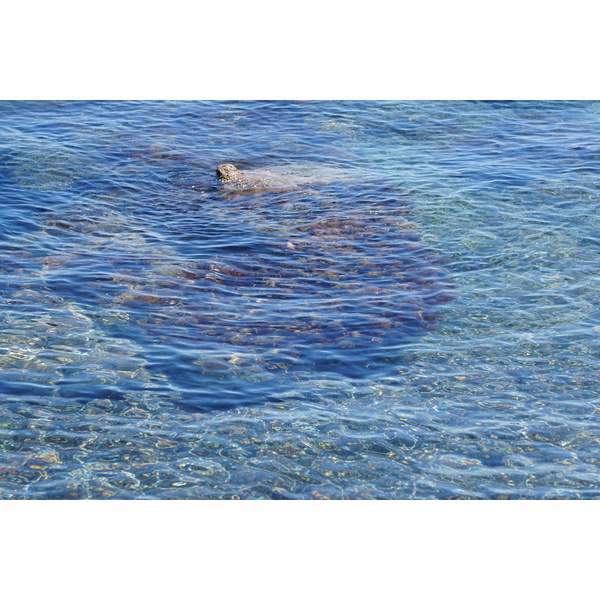 รูปถ่าย ฝรั่งเศส(France) คอร์สิคา(Corsica) หาดรอนดีนารา(Rondinara Beach) 2017-07 9