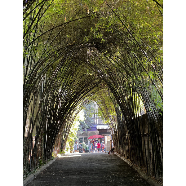 รูปถ่าย ไทย(Thailand) เชียงใหม่(Chiang Mai) 2024-01 96