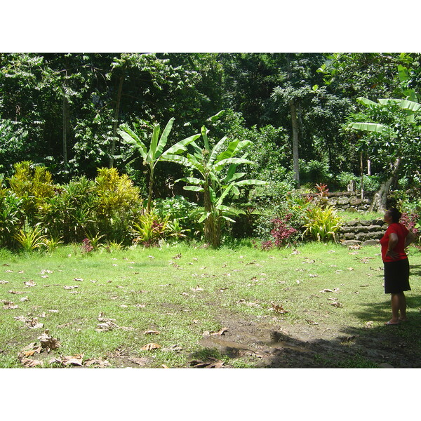 รูปถ่าย เฟรนช์โพลี่นีเซีย(Polynesia) หมู่เกาะมาร์เคซัส(Marquises) 2006-04 156