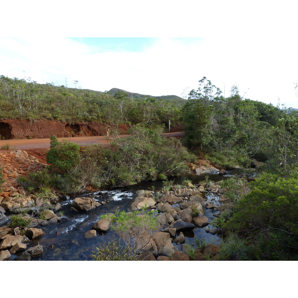 รูปถ่าย นิวแคลิโดเนีย(New Caledonia) อุทยานริเวียร์เบลอ(Parc de la Riviere Bleue) 2010-05 57