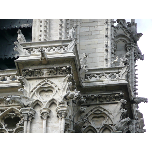 รูปถ่าย ฝรั่งเศส(France) ปารีส(Paris) มหาวิหารน็อทร์-ดาม(Notre Dame) 2007-05 194