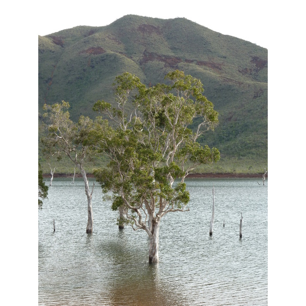 รูปถ่าย นิวแคลิโดเนีย(New Caledonia) 2010-05 58