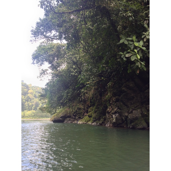 รูปถ่าย คอสตาริกา(Costa Rica) แม่น้ำปากัวเร(Pacuare River) 2015-03 237