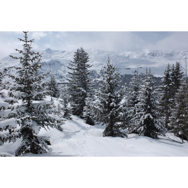 รูปถ่าย ฝรั่งเศส(France) เลทรัววาเล(Les 3 Vallees) 2013-03 278
