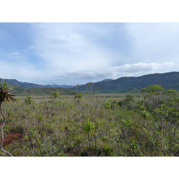 รูปถ่าย นิวแคลิโดเนีย(New Caledonia) อุทยานริเวียร์เบลอ(Parc de la Riviere Bleue) 2010-05 120
