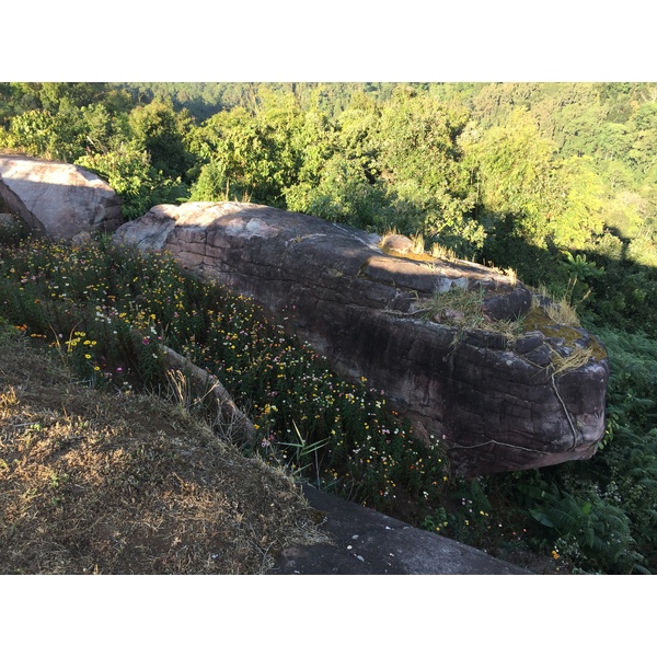รูปถ่าย ไทย(Thailand) อุทยานแห่งชาติภูหินร่องกล้า(Phu Hin Rong Kla National Park) 2014-12 267