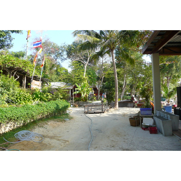รูปถ่าย ไทย(Thailand) เกาะเสม็ด(Ko Samet) 2009-01 62