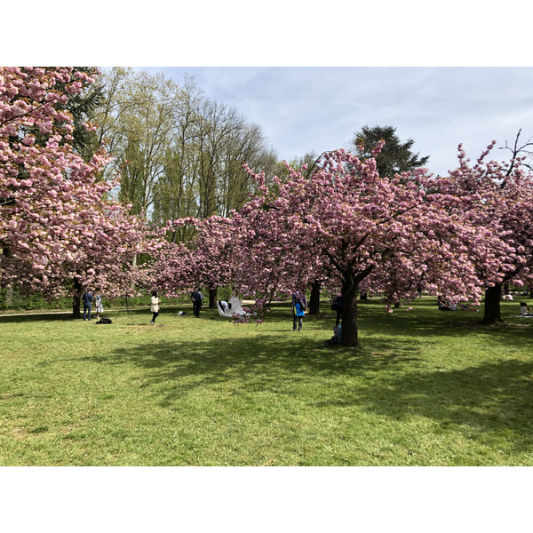 รูปถ่าย ฝรั่งเศส(France) สวนโซ(Parc de Sceaux) 2019-04 10