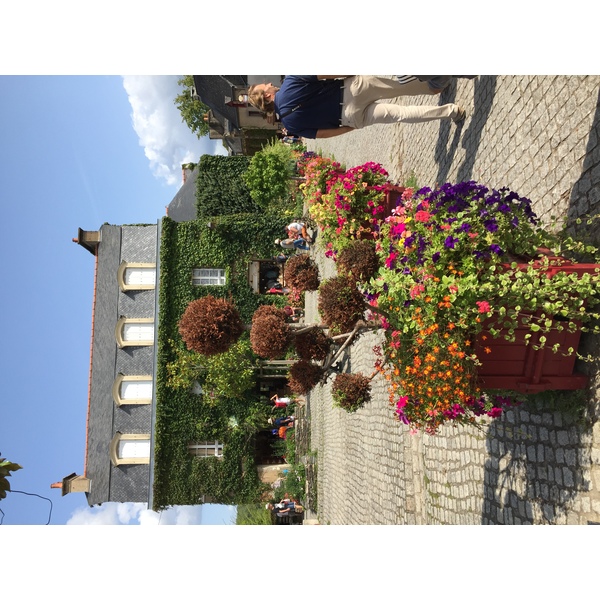 รูปถ่าย ฝรั่งเศส(France) รอชฟอร์-อ็อง-แตร์(Rochefort en terre) 2017-08 68