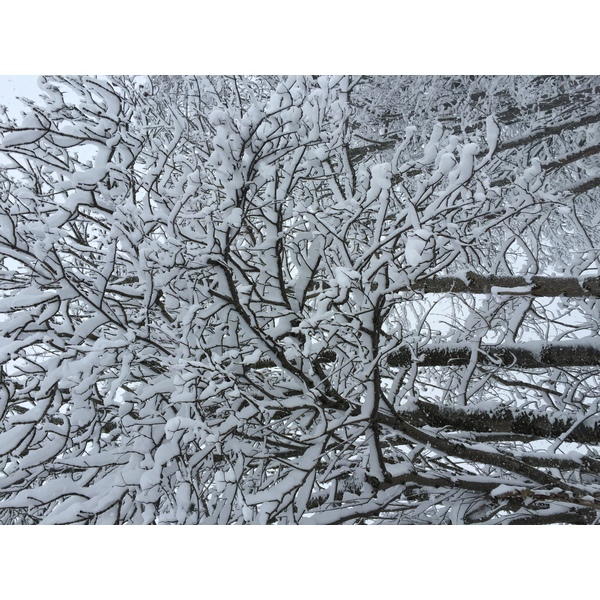 รูปถ่าย ฝรั่งเศส(France) เมแฌฟว์(Megeve) 2016-02 7