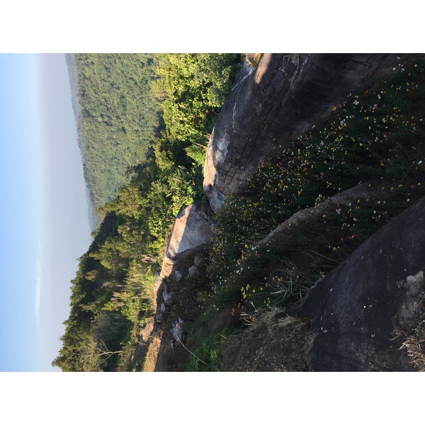 รูปถ่าย ไทย(Thailand) อุทยานแห่งชาติภูหินร่องกล้า(Phu Hin Rong Kla National Park) 2014-12 273