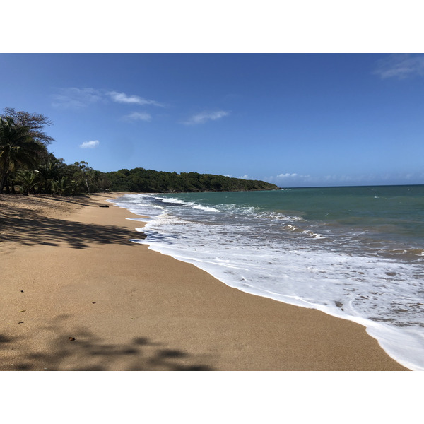 รูปถ่าย กวาเดอลูป(Guadeloupe) แซ็นต์โรส(Sainte Rose) 2021-02 8